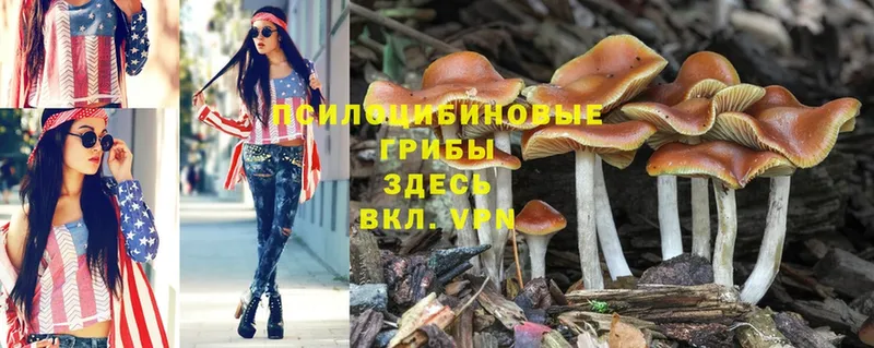 Галлюциногенные грибы MAGIC MUSHROOMS  hydra как войти  Иланский  где купить  